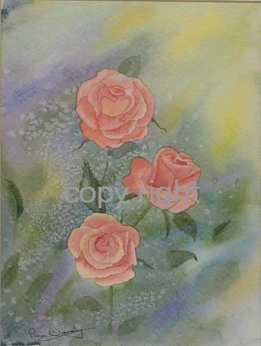 Roses - peach colour - flowers